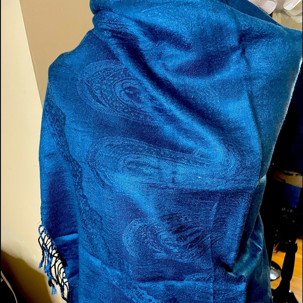 Blue pashmina paisley shawl:warp/scarf